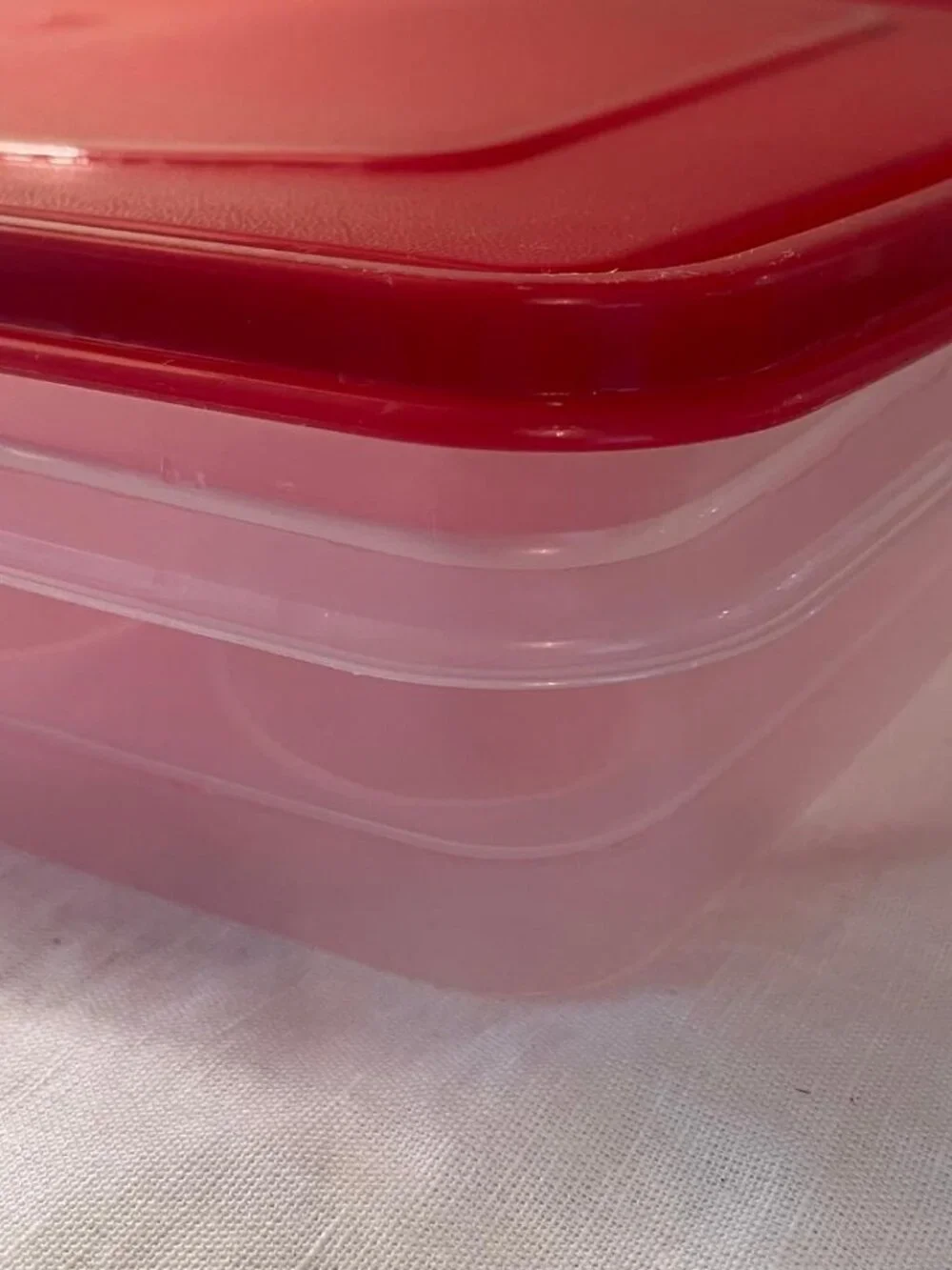 Rubbermaid Deviled Egg Carrier Container Easter Holidays Food Storage Red Clear